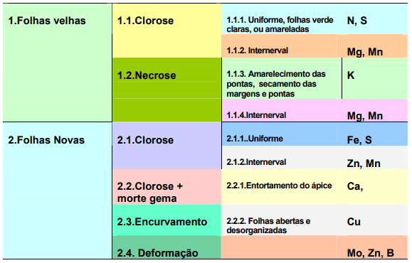 adubo para cana