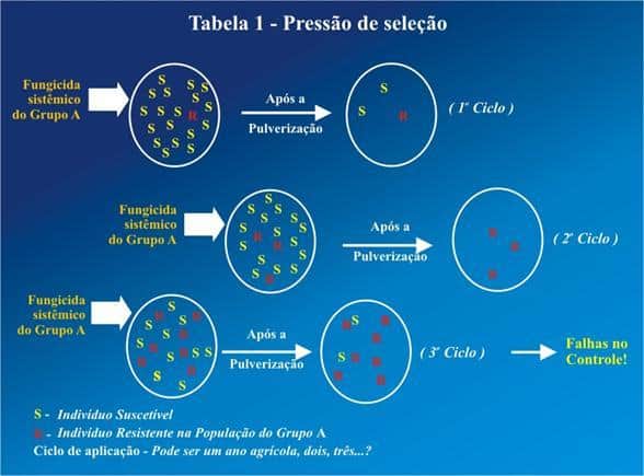 Resistência de fungos aos fungicidas