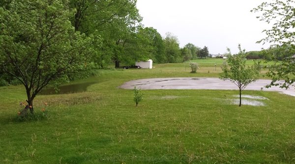 puddles and ponds