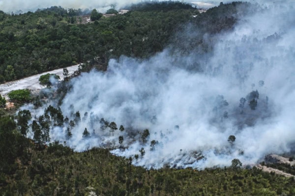 Where does Indonesia and Jakarta's Air Pollution Come From? Fires