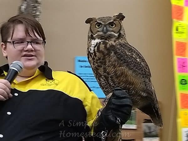 Ruby the Owl at the International Owl Center