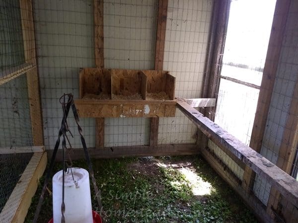 nesting boxes for grown hens