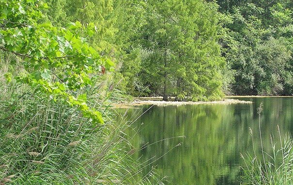 VERMILION COUNTY CAMPING | 3 CAMPGROUNDS NEAR DANVILLE THAT EVERYONE LOVE 5_2021 vermillion county camping