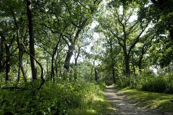 4 BEST CAMPSITES IN KANE COUNTY | CAMPING IN KANE COUNTY 4_2021 Paul Wolff