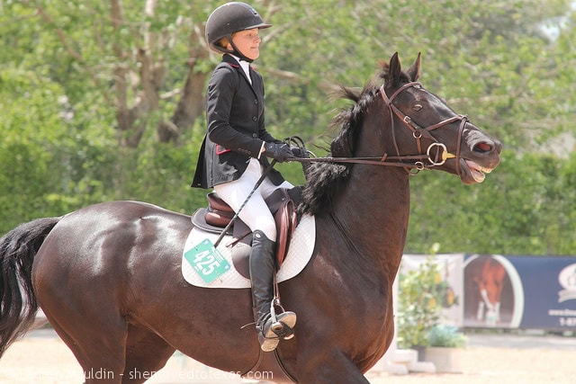 wef-junior-jumper