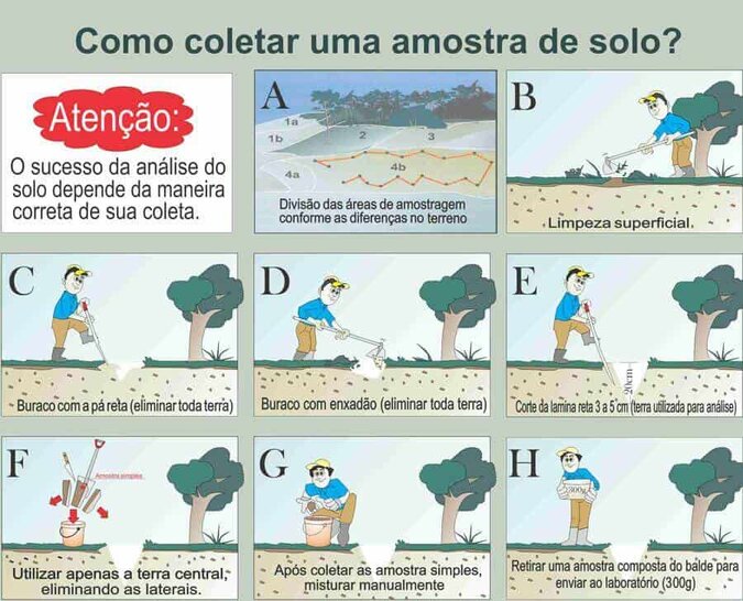 plantio da soja