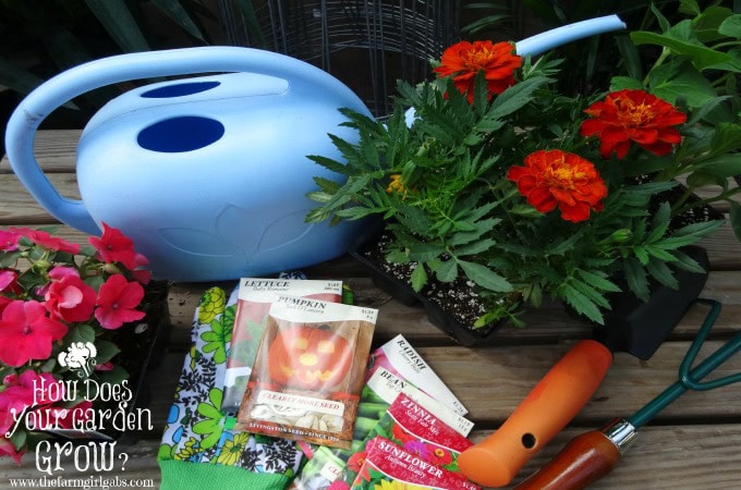 10 Gardening Tips for Beginners - feature1