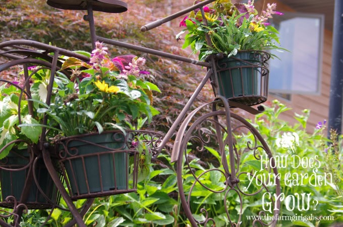 Bicycle with Flowers