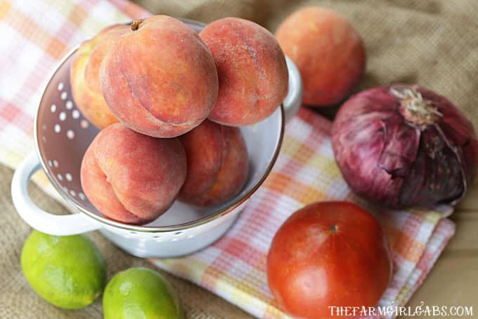 Spice up your summer with this tasty Peach Pico de Gallo recipe. Grab those fresh farmers market peaches and whip up a bowl to snack on. #Peach #PicodeGallo #Salsa #PeachRecipe #Appetizer #Dips #DipRecipe #Farmersmarket