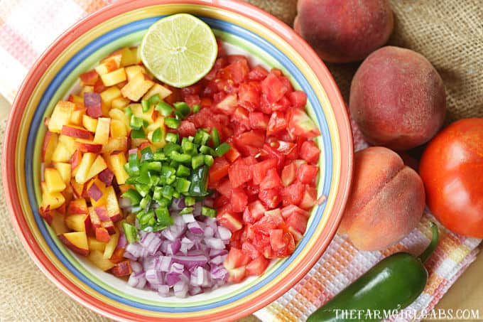 Spice up your summer with this tasty Peach Pico de Gallo recipe. Grab those fresh farmers market peaches and whip up a bowl to snack on. #Peach #PicodeGallo #Salsa #PeachRecipe #Appetizer #Dips #DipRecipe #Farmersmarket