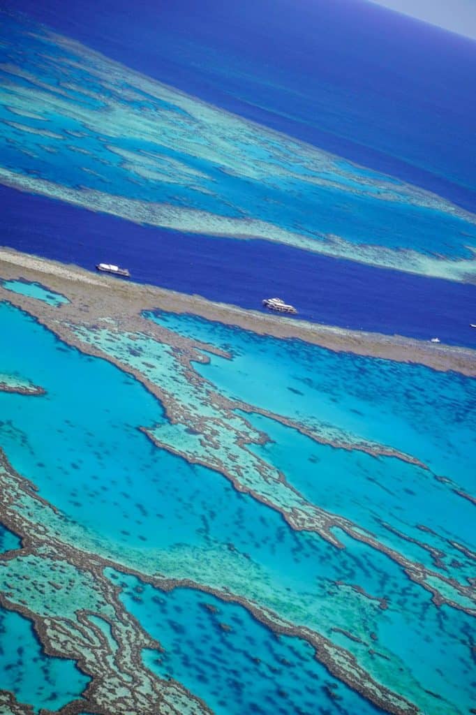 Heart reef Whitsundays