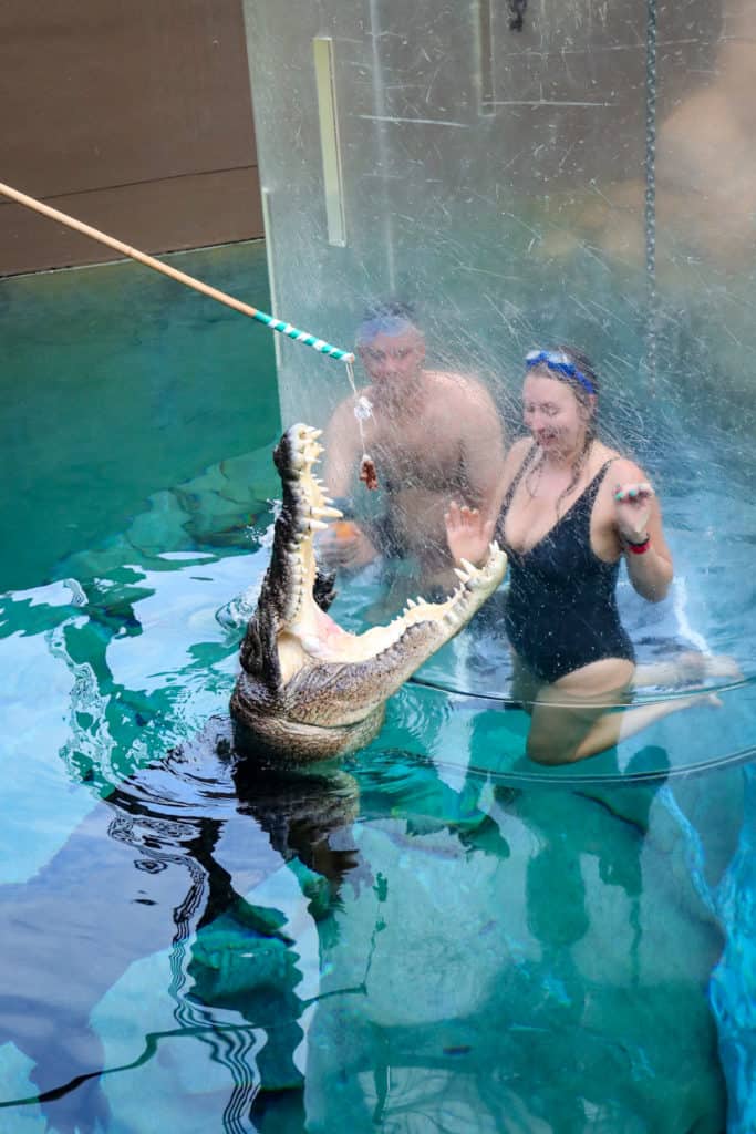 Cage of Death - Crocodile swim