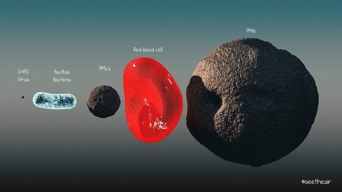 Particle Sizes - Virus Labelled