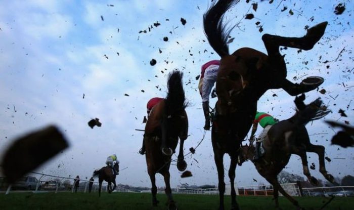 Horse racing tips TODAY: Horses you must back at Catterick, Newbury, Nottingham and Ripon | Racing | Sport