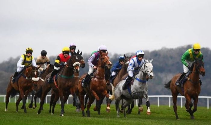Horse racing tips today: Horses you must back at Chepstow, Brighton, Windsor and Hexham