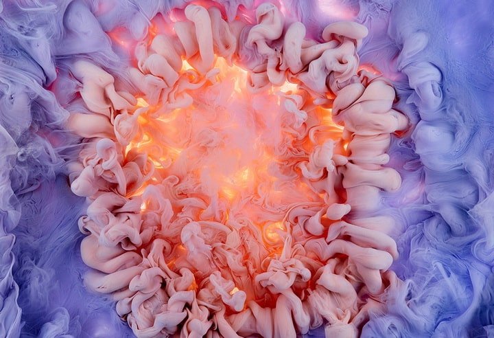 Aqueous Roses and Liquid Blooms Photographed by Mark Mawson 1 Flowers and Swirls