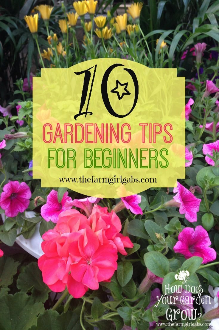 10 simple Gardening Tips and Ideas for Beginners. Spring is almost here. It's time to plan your vegetable and flower gardens.
