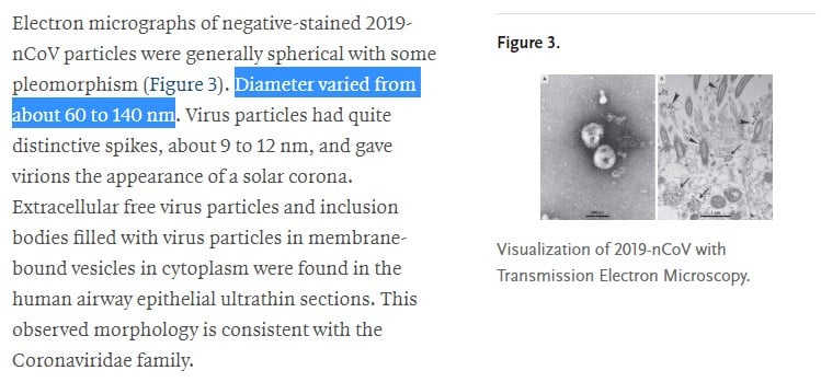 Coronavirus virus particle size