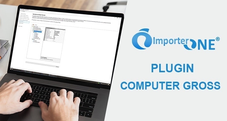 Computer Gross plugin ImporterONE