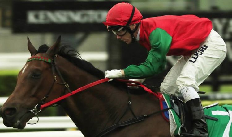 Horse racing tips January 29: Horses you MUST back at Lingfield and Newcastle | Racing | Sport