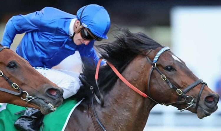 Horse racing tips TODAY: Horses you MUST back at Chelmsford, Fontwell, Kelso, Leicester