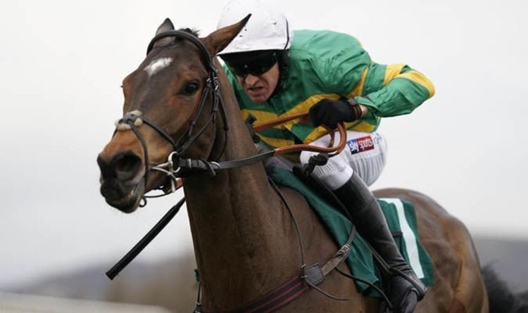 Cheltenham 2019: Will Cheltenham be CANCELLED this year as equine flu wipes out horses? | Racing | Sport