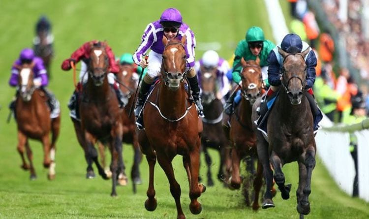 Horse racing tips February 23: Chepstow, Kempton, Lingfield, Newcastle and Wolverhampton | Racing | Sport
