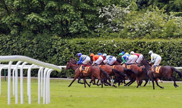 Horse racing tips TODAY: Horses you MUST back at Ascot, Lingfield | Racing | Sport