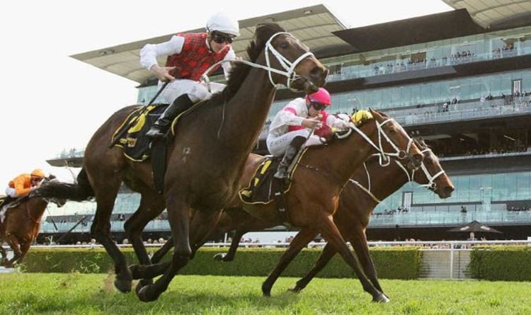 Best Horse Racing Betting Sites for 2020