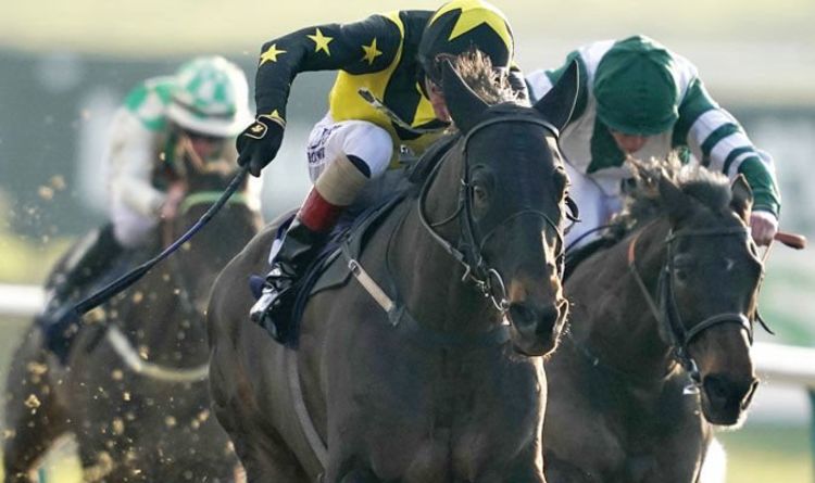 Horse racing tips TODAY: Horses you MUST back at Lingfield, Carlisle and Newcastle | Racing | Sport