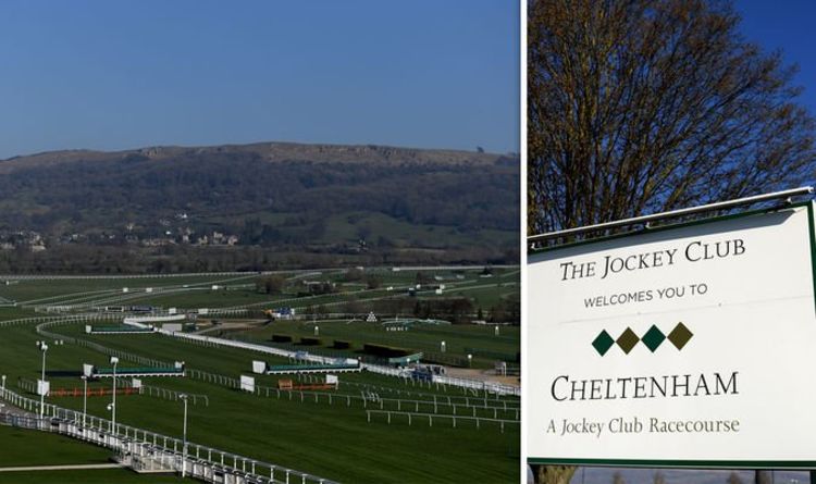 Cheltenham 2019: Course clerk delivers weather update all racing fans NEED to know | Racing | Sport