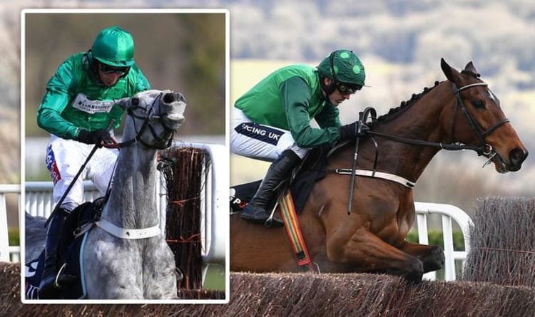 Cheltenham punters have one major problem if they are betting on Cheltenham Festival | Racing | Sport