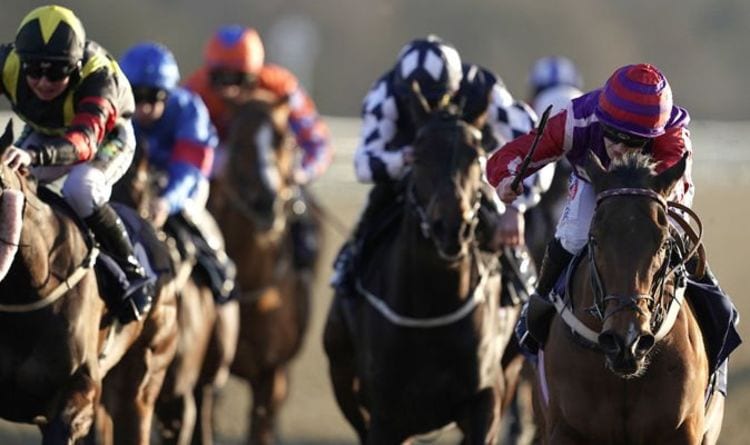 Horse racing tips TODAY: Horses you MUST back at Catterick, Fontwell, Lingfield, Kempton | Racing | Sport