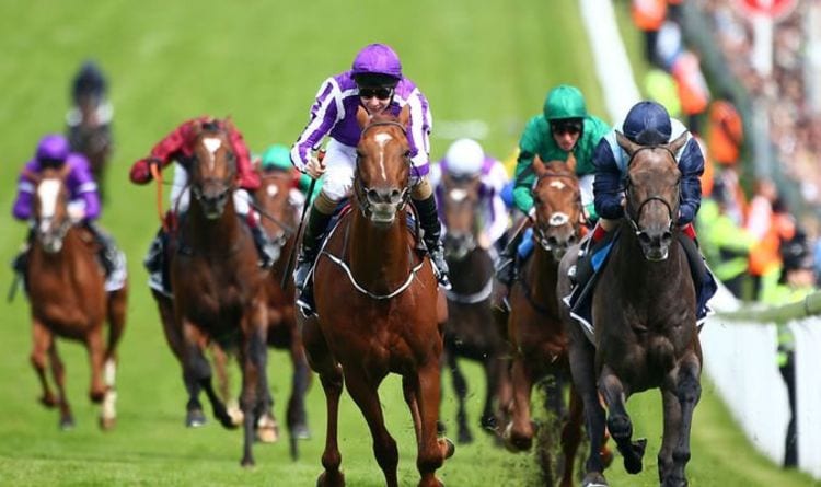 Horse racing tips April 24: Horses you MUST back at Epsom, Fontwell and Perth | Racing | Sport