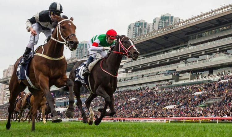 Horse racing tips TODAY: Chelmsford, Chester, Huntingdon, Wincanton and Worcester | Racing | Sport