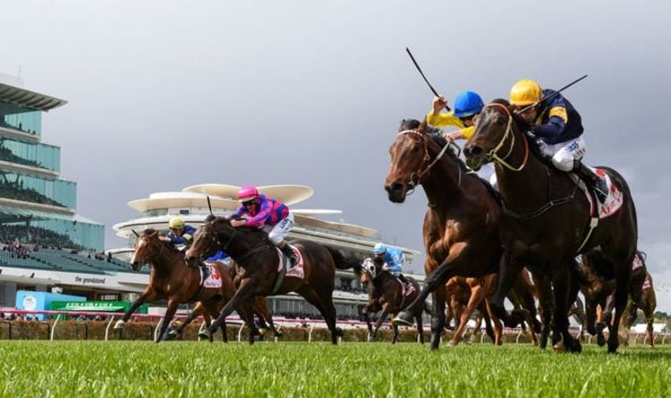 Horse racing tips TODAY: Doncaster, Goodwood, Hexham, Newmarket, Thirsk and Uttoxeter | Racing | Sport