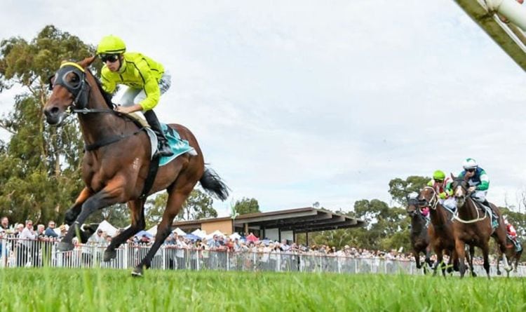 Horse racing tips June 6: Horses you MUST back at Chelmsford, Ffos Las, Hamilton, Haydock