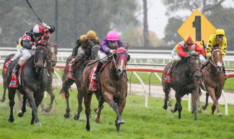 Horse racing tips TODAY: Horses you MUST back at Lingfield, Southwell and Newcastle | Racing | Sport