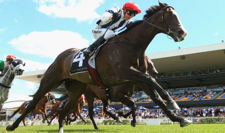 Horse racing tips TODAY: Horses you must back at Ascot, Uttoxeter, York, Chepstow and more | Racing | Sport