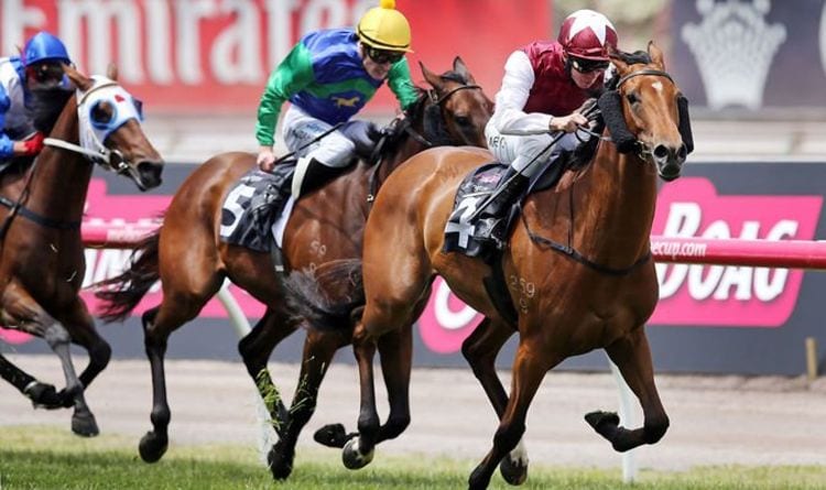 Horse racing tips today: Horses to back at Ayr, Windsor, Ripon and Worcester | Racing | Sport
