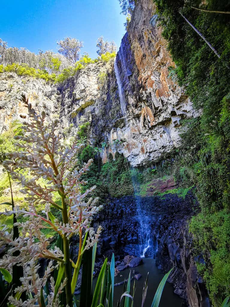 Purling Brook falls