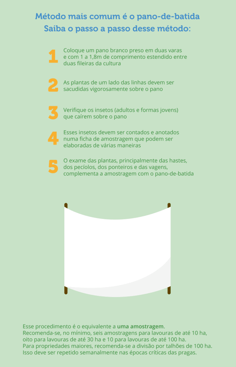 metodo-pano-de-batida