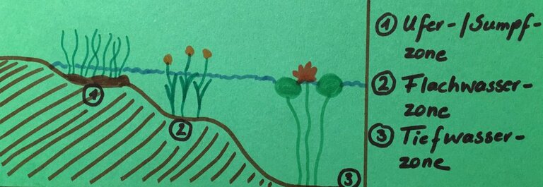 Zonen (Mini-)Teich