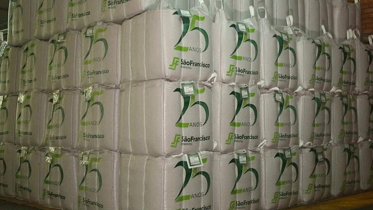 foto de armazenamento de sementes em sacos tipo big bag