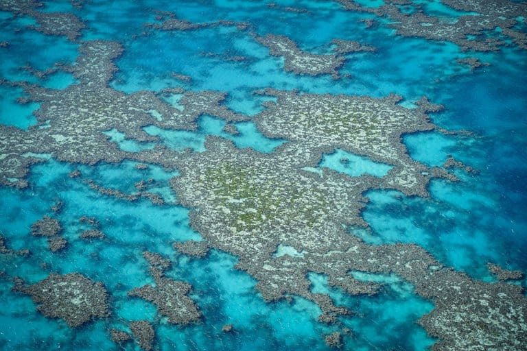 Great barrier reef