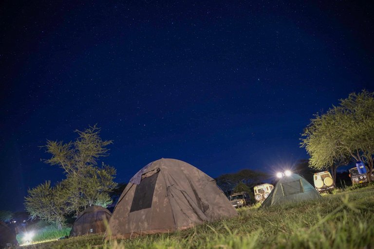 Serengeti bush camp and safari