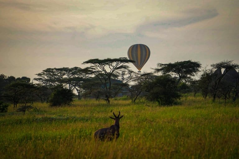 Hot air balloon serengeti safari bush camp