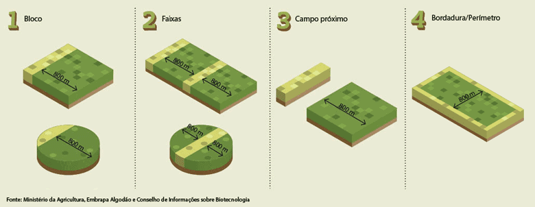 manejo-o-que-e-o-refugio-no-agronegócio-brasileiro