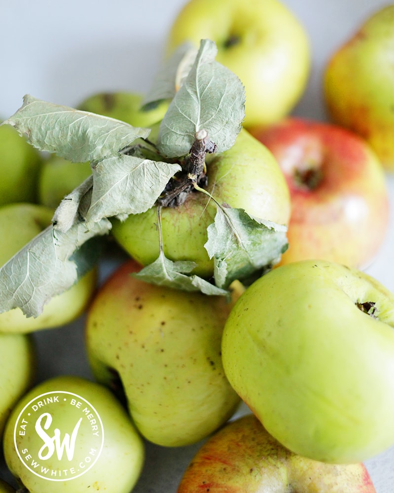 fresh apples from the garden