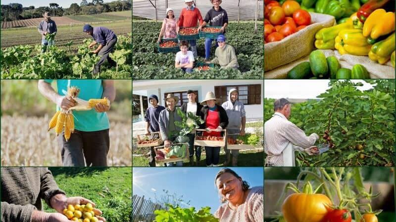 Dia do Agricultor